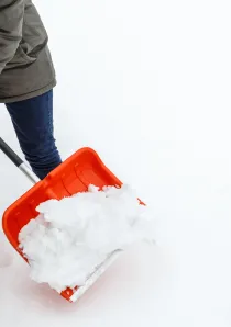 adobestock_136243741