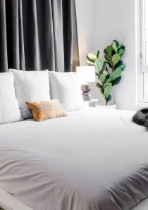 1 bedrrom apartments chicago