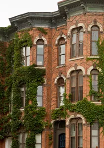 Bronzeville_three-flat-apartments_Blog-Image