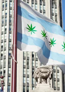 a Chicago city flag edited to include hemp leaves in place of red stars