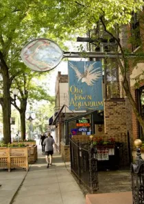 Old-Town-Aquarium-shop blog image