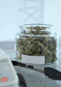 cannabis with jar and digital scale