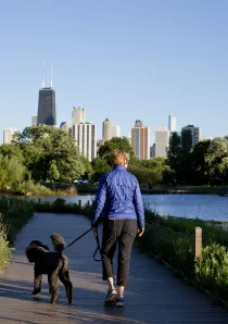 dog-walker-Lincoln-Park-Zoo-lagoon-Lincoln-Park_gallery(11)