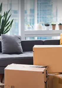 moving boxes in apartment living room