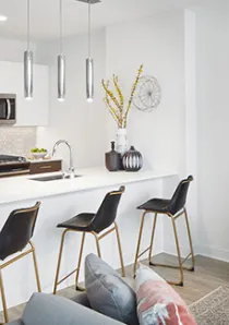 kitchen with breakfast bar and stool seating in new South Loop apartment for rent
