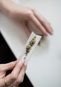 woman rolling cannabis