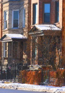 snow removal law advice domu chicago