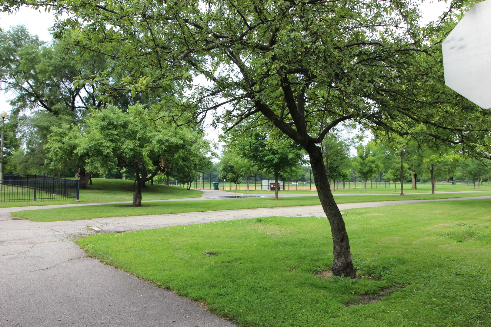 2323 W Arthur Ave, , 60645, USA 60645-unit#2-Chicago-IL