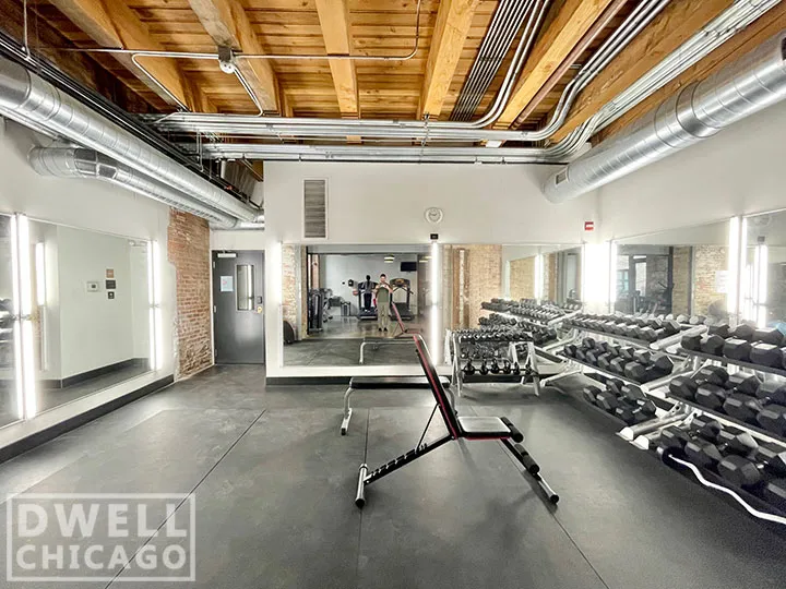 1435 W 15th St, ,  60608, USA 60608-unit#302-Chicago-IL