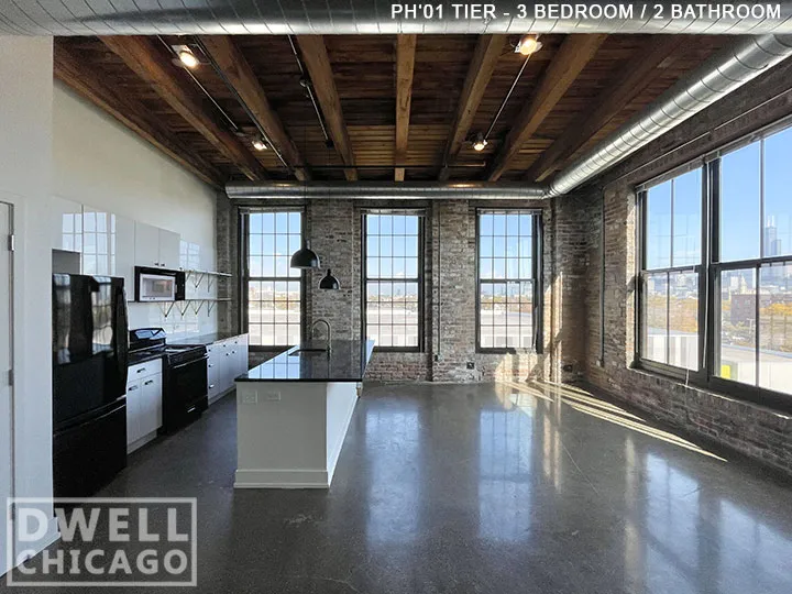 1435 W 15th St, ,  60608, USA 60608-unit#302-Chicago-IL