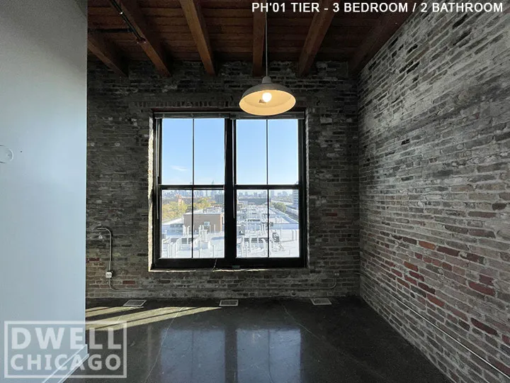 1435 W 15th St, ,  60608, USA 60608-unit#302-Chicago-IL