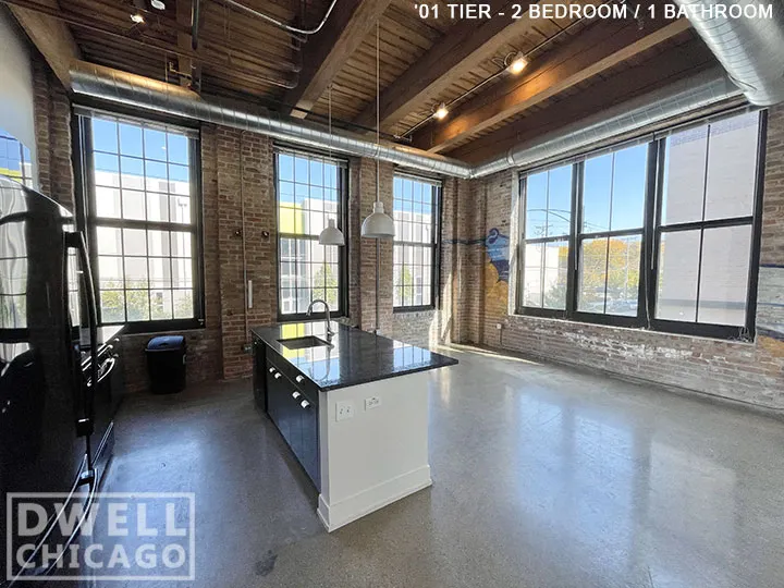 1435 W 15th St, ,  60608, USA 60608-unit#302-Chicago-IL