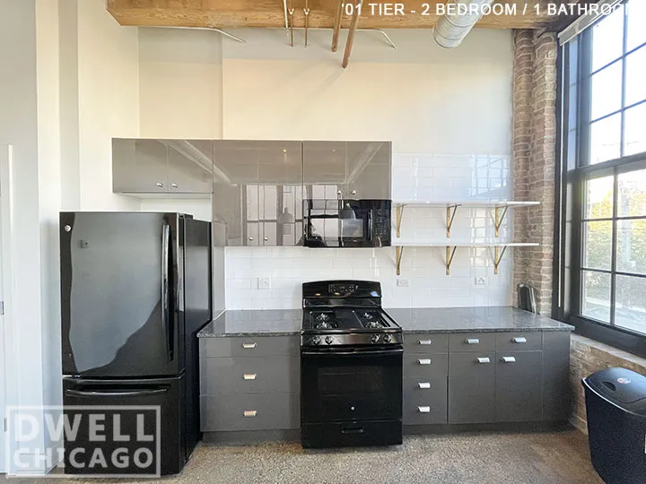 1435 W 15th St, ,  60608, USA 60608-unit#302-Chicago-IL