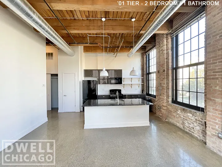 1435 W 15th St, ,  60608, USA 60608-unit#302-Chicago-IL