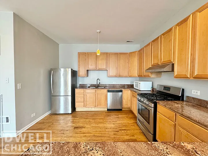 1903 S Blue Island Ave, ,  60608, USA 60608-unit#3-Chicago-IL