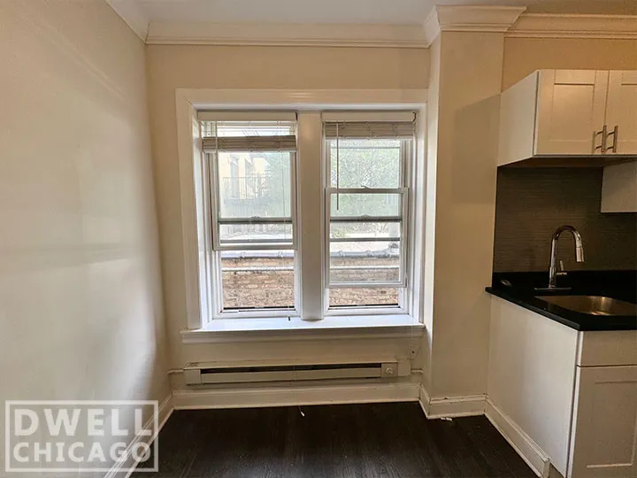 3815 N Greenview Ave, ,  60613, USA 60613-unit#3821-2E-Chicago-IL