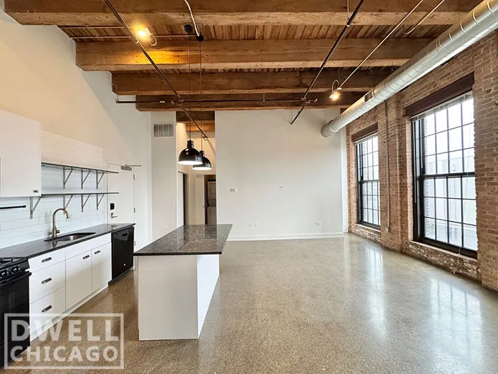 1435 W 15th St, ,  60608, USA 60608-unit#302-Chicago-IL