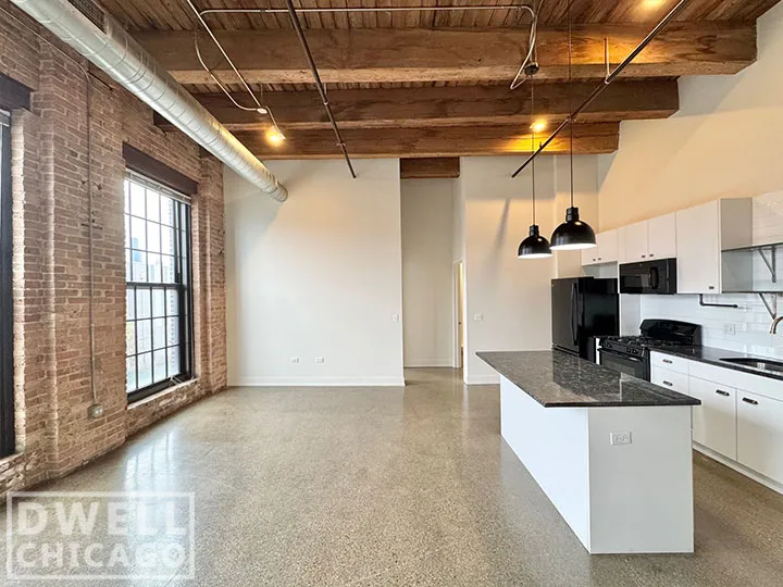 1435 W 15th St, ,  60608, USA 60608-unit#302-Chicago-IL