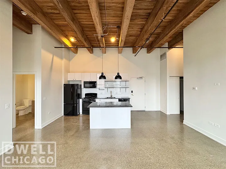 1435 W 15th St, ,  60608, USA 60608-unit#302-Chicago-IL