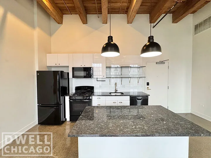 1435 W 15th St, ,  60608, USA 60608-unit#302-Chicago-IL