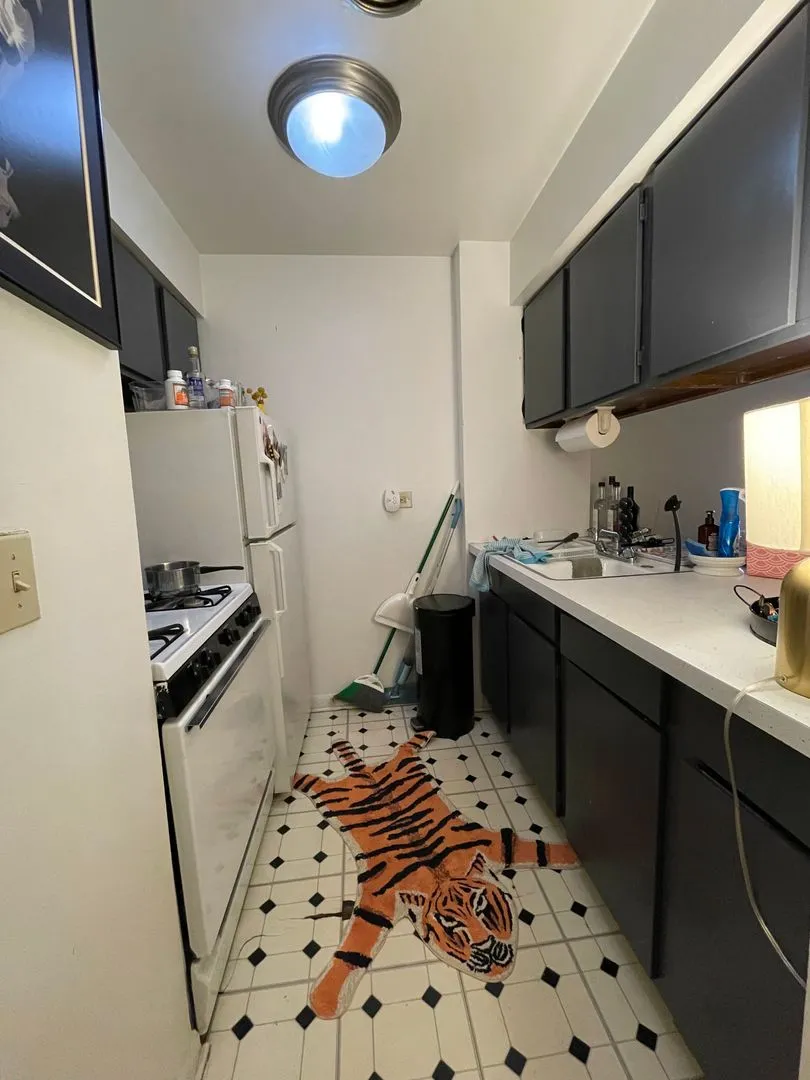 521 W Briar Pl, ,  60657, USA 60657-unit#308-Chicago-IL