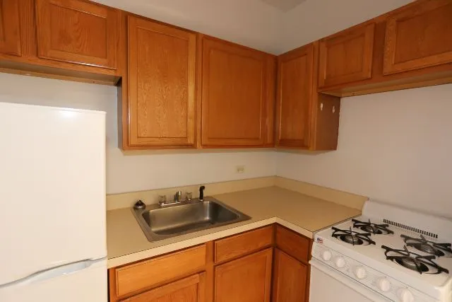 1164 N Dearborn St, ,  60610, USA 60610-unit#501-Chicago-IL