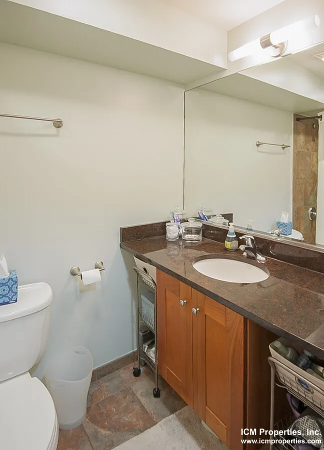 3808 N Sheffield Ave, ,  60613, USA 60613-unit#3810S-1E-Chicago-IL