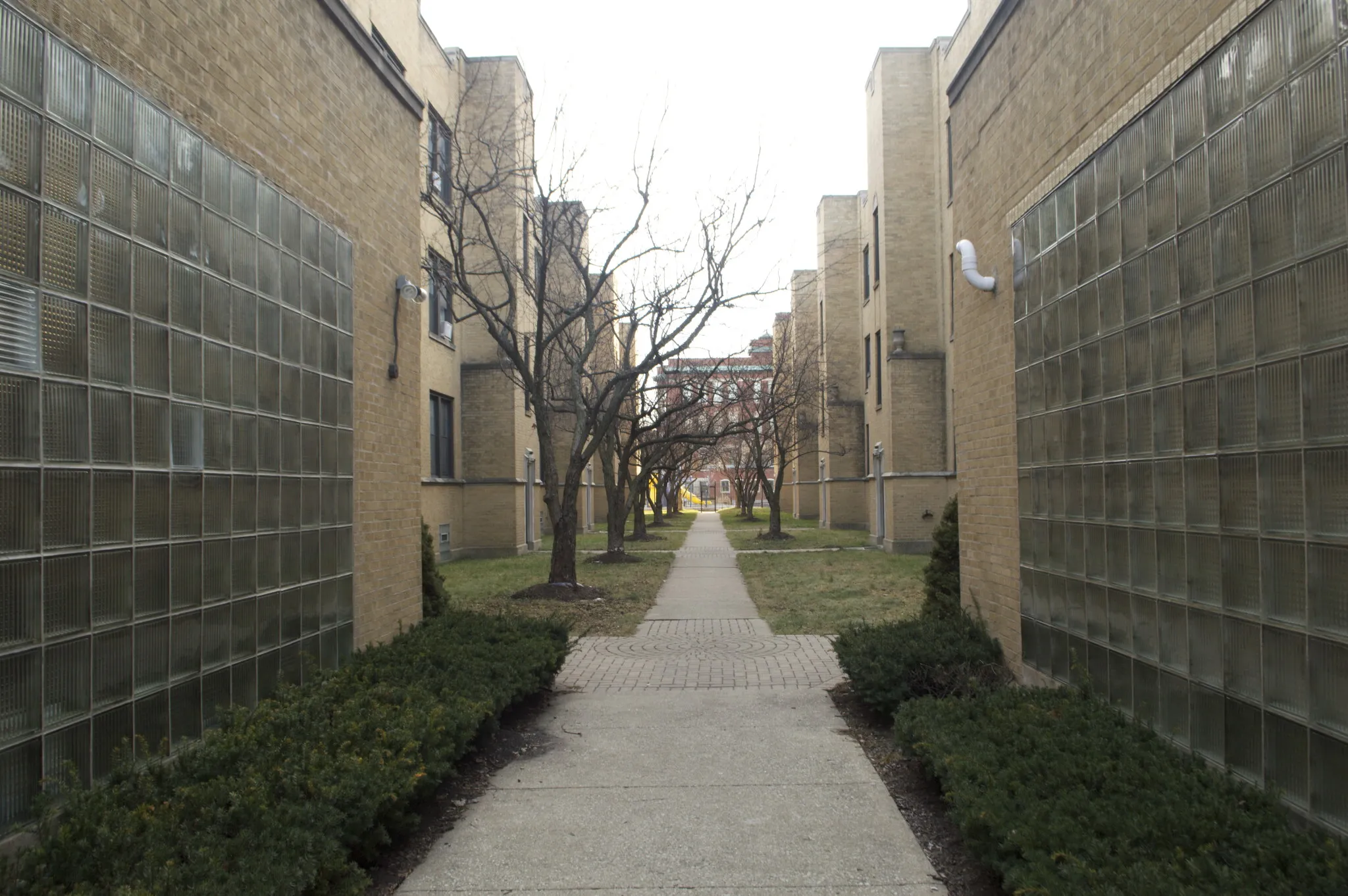 1623 W Belmont Ave, ,  60657, USA 60657-unit#I6-Chicago-IL