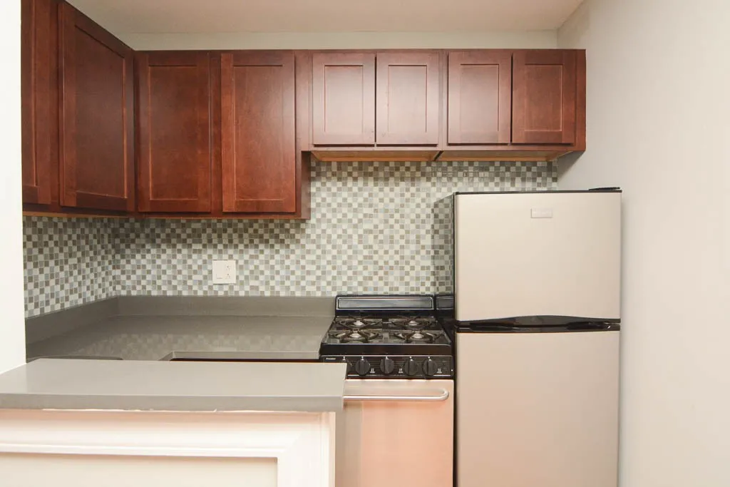 445 W Barry Ave, ,  60657, USA 60657-unit#326-Chicago-IL