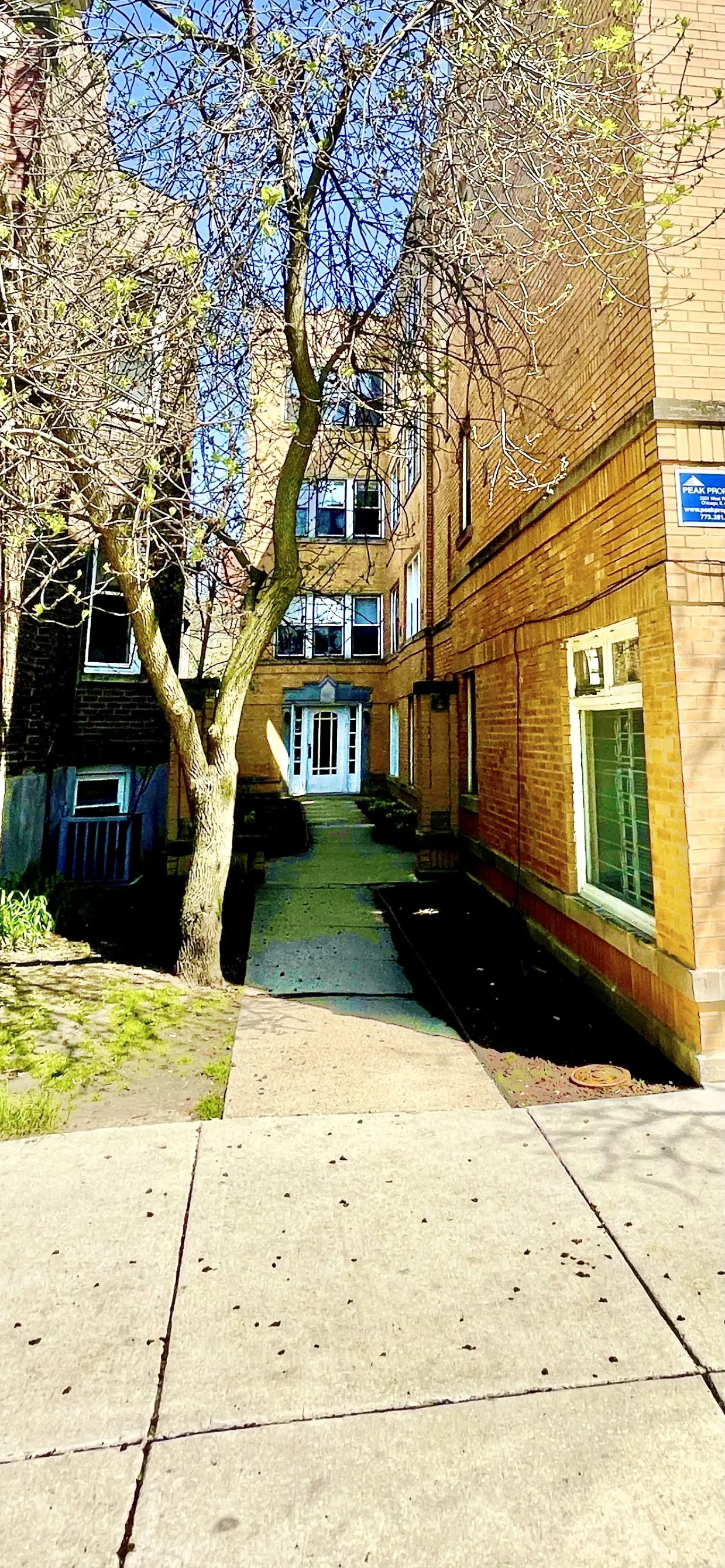 3915 N Southport Ave, , 60613, USA 60613-unit#1W-Chicago-IL