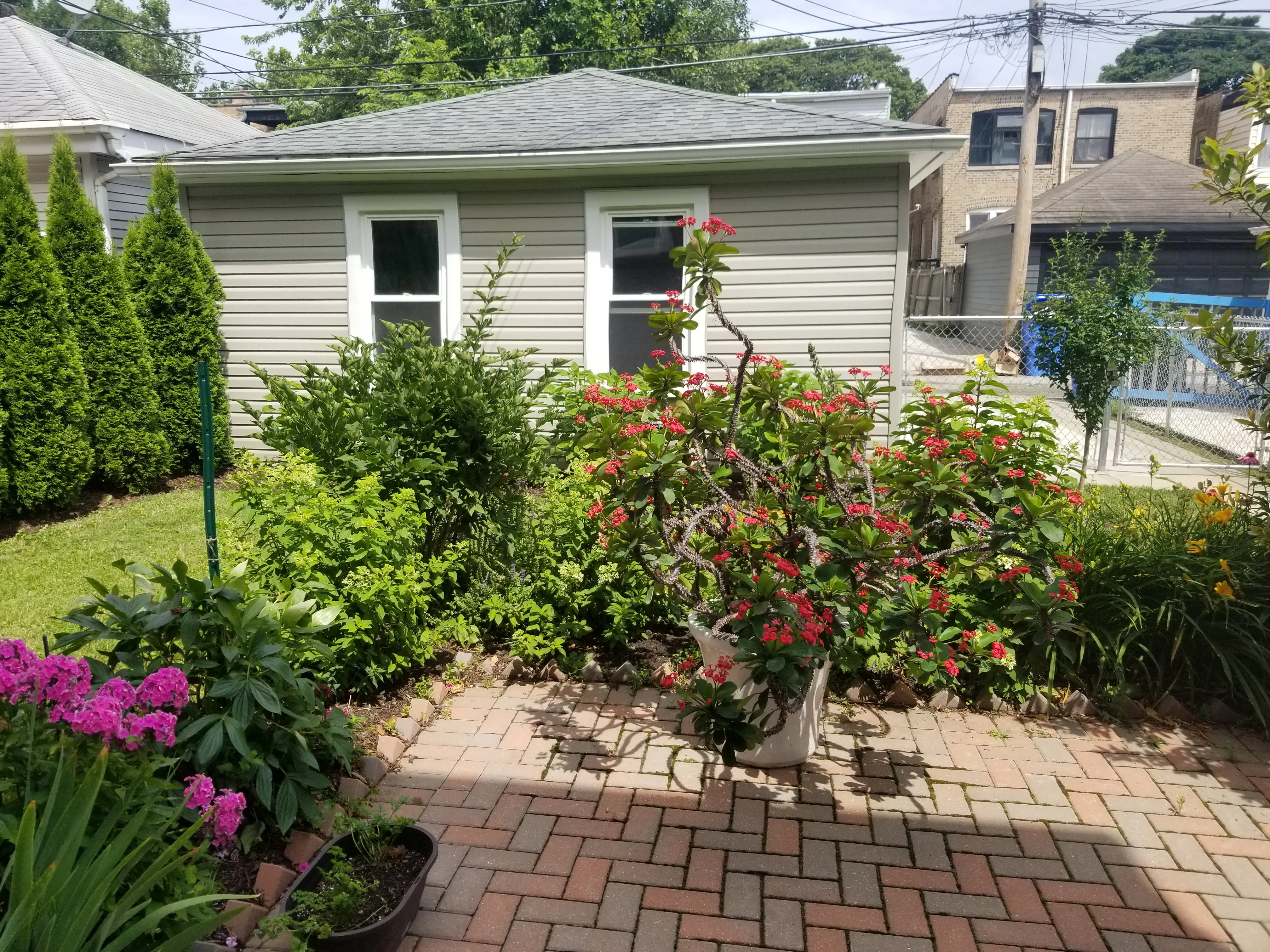 5849 N Maplewood Ave, ,  60659, USA 60659-unit#GDN-Chicago-IL