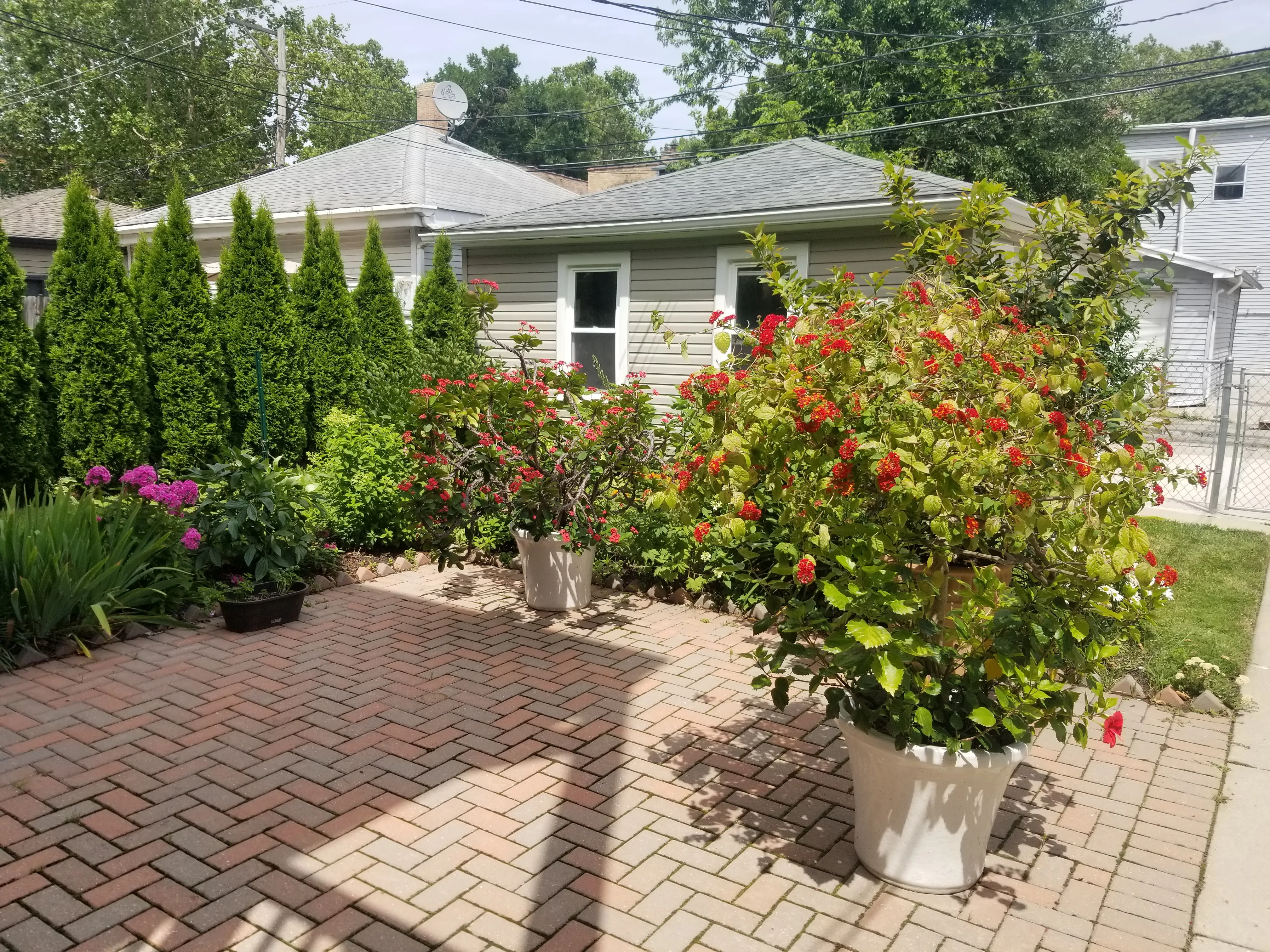 5849 N Maplewood Ave, ,  60659, USA 60659-unit#GDN-Chicago-IL