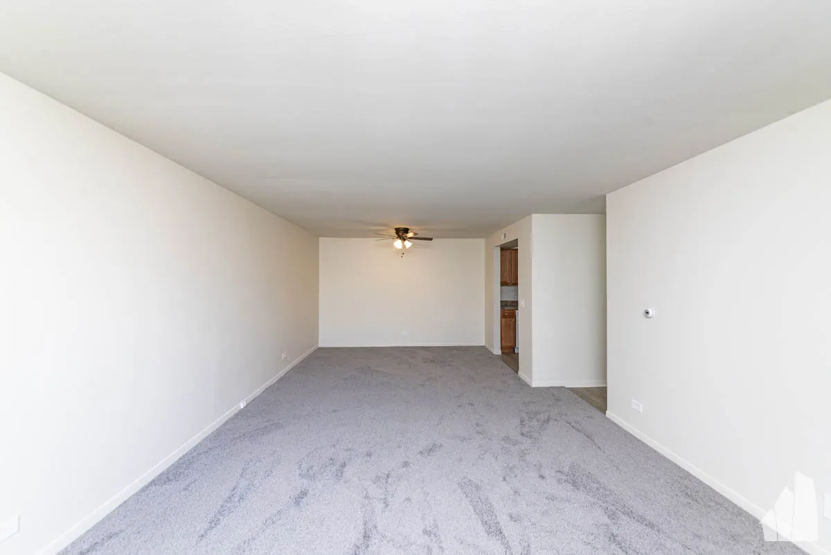 245 E Main St, ,  60047, USA 60047-unit#301-Lake Zurich-IL