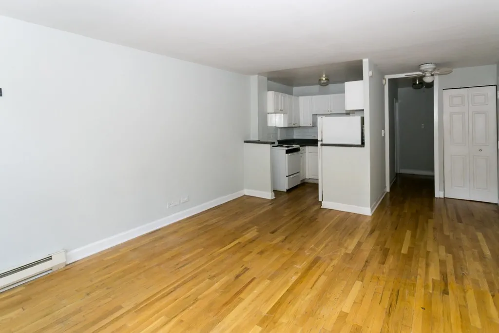 1446 N Dearborn St, ,  60610, USA 60610-unit#1A-Chicago-IL