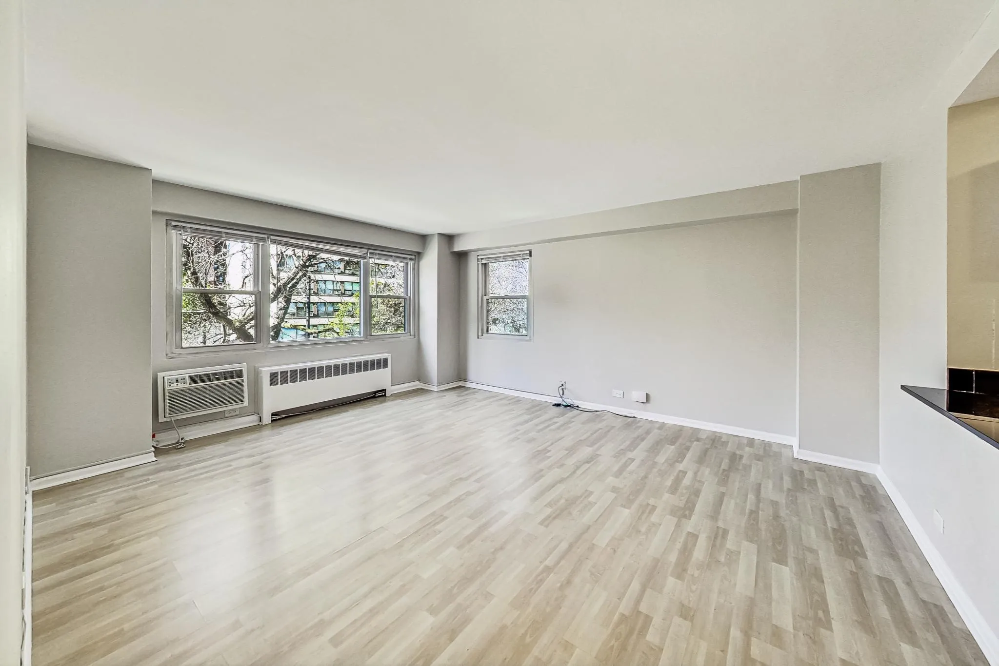 356 W Surf St, ,  60657, USA 60657-unit#306-Chicago-IL