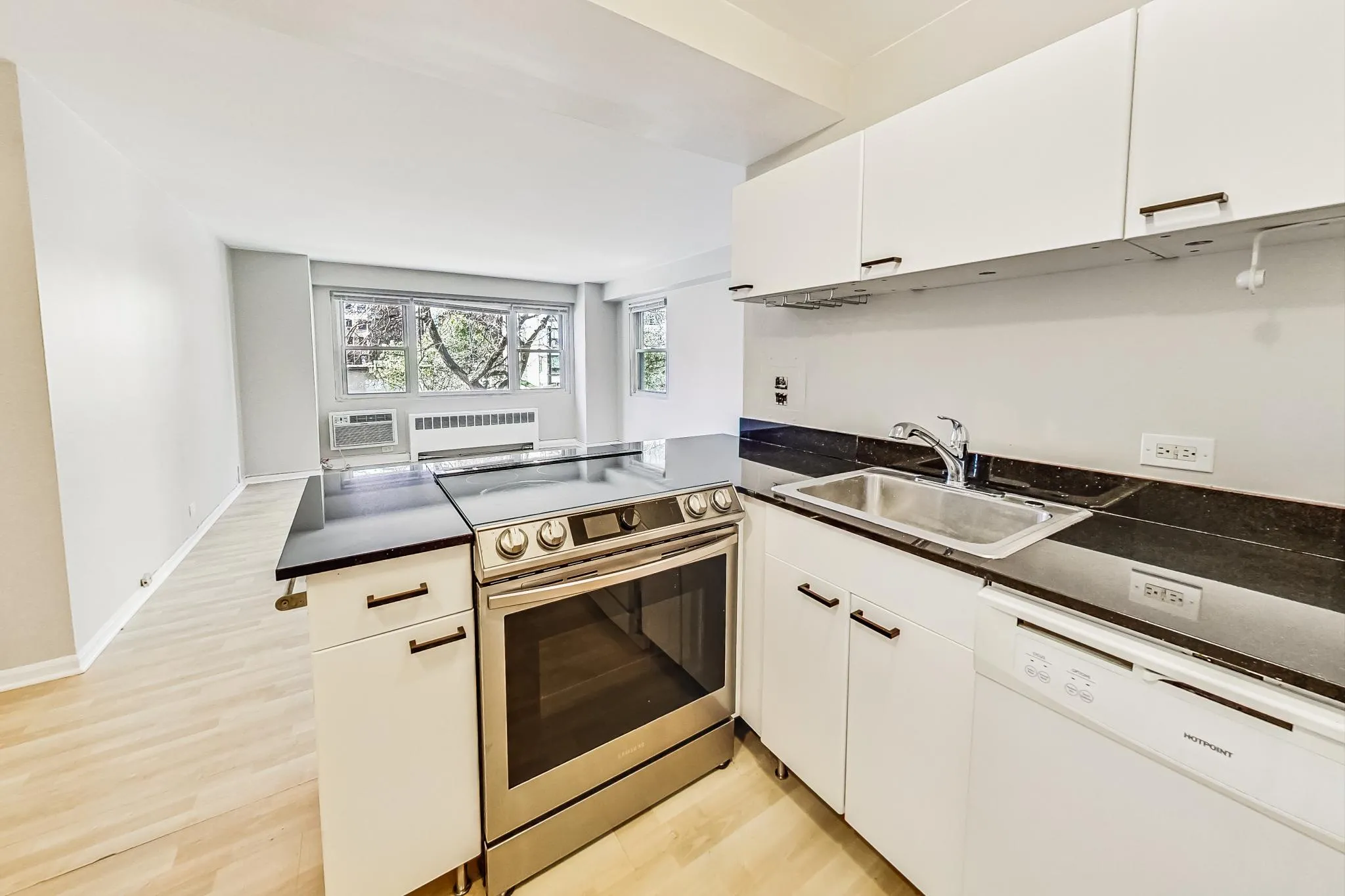 356 W Surf St, ,  60657, USA 60657-unit#306-Chicago-IL