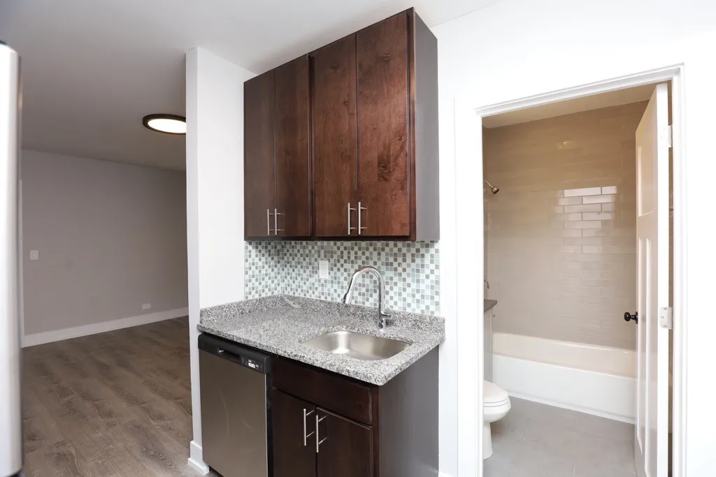 817 W Cornelia Ave, ,  60657, USA 60657-unit#307-Chicago-IL