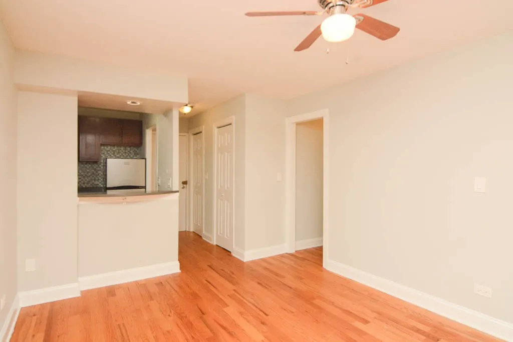 445 W Barry Ave, ,  60657, USA 60657-unit#316-Chicago-IL