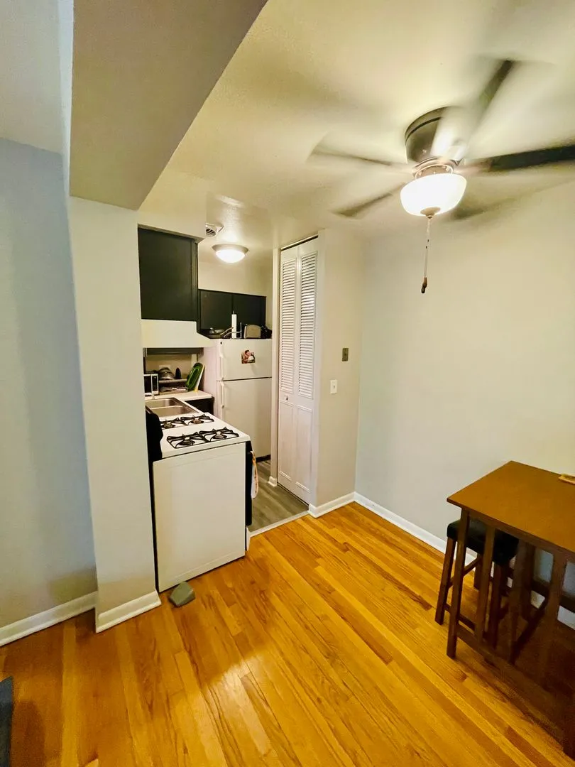 541 W Briar Pl, , 60657, USA 60657-unit#203-Chicago-IL