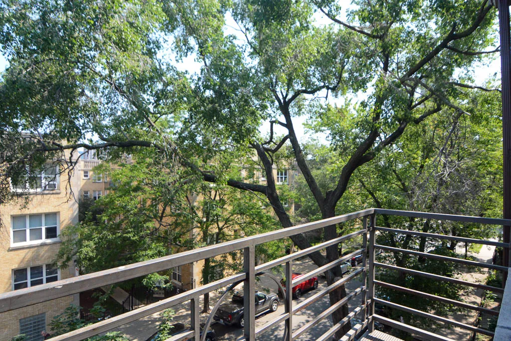 917 West Dakin Apartments