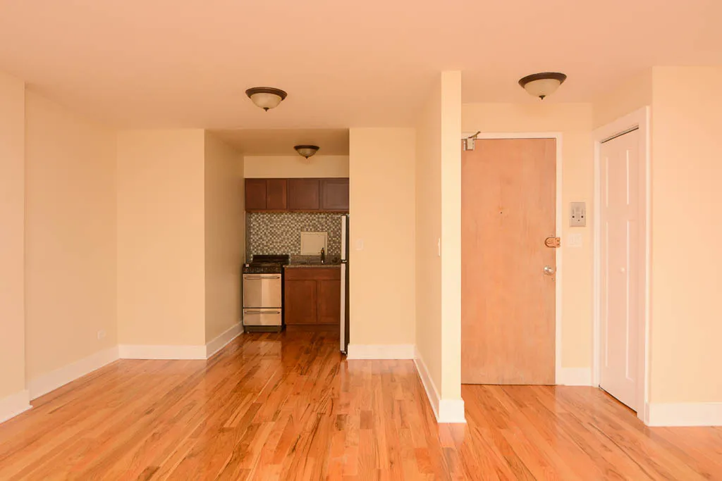 1446 N DEARBORN ST 60610-1446 North Dearborn-Chicago-IL