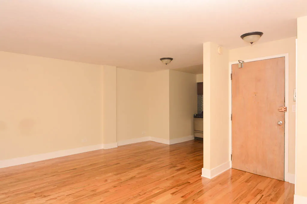 1446 N DEARBORN ST 60610-1446 North Dearborn-Chicago-IL