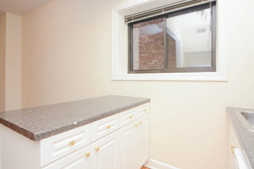 1425 N DEARBORN PKWY 60610-1425 North Dearborn-Chicago-IL