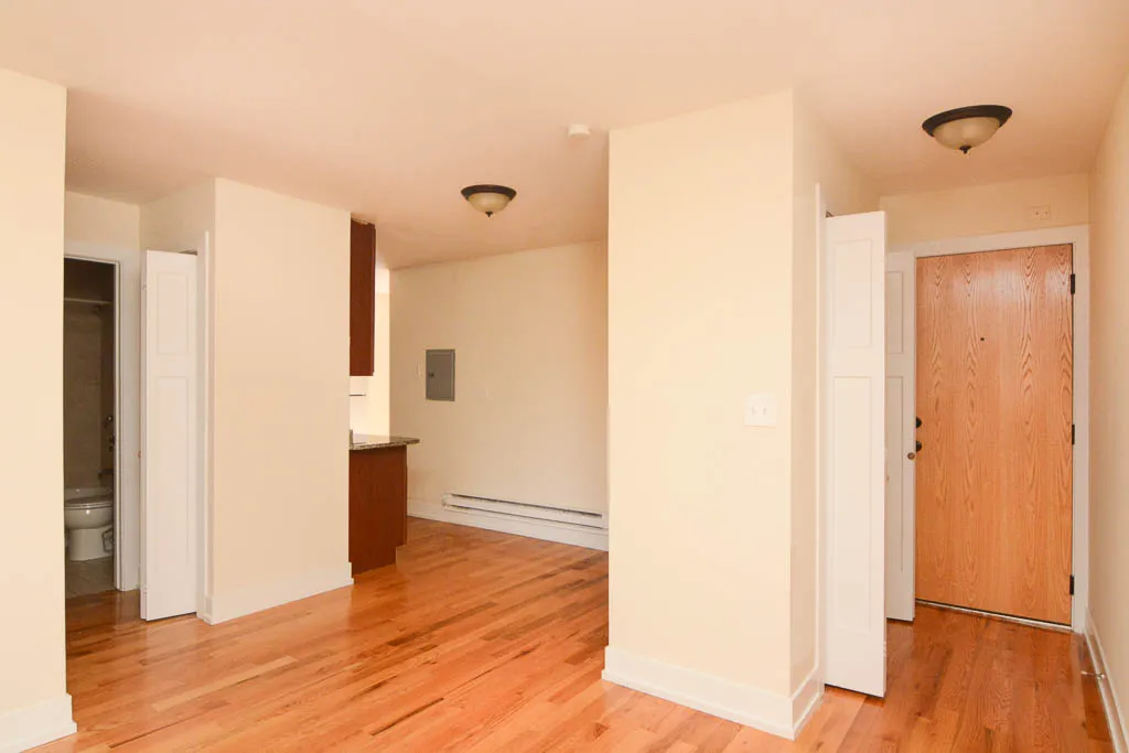 555 W ARLINGTON PL 60614-555 W Arlington-Chicago-IL