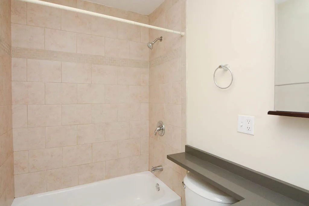 555 W ARLINGTON PL 60614-555 W Arlington-Chicago-IL