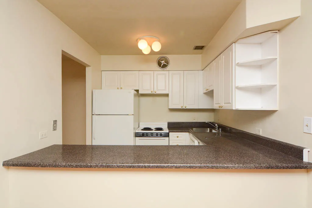 1220 N LA SALLE ST 60610-1220 N LaSalle-Chicago-IL