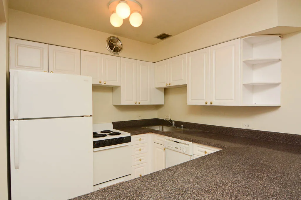 1220 N LA SALLE ST 60610-1220 N LaSalle-Chicago-IL