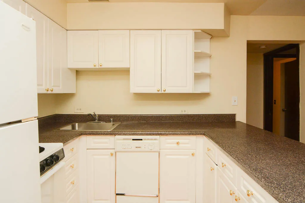 1220 N LA SALLE ST 60610-1220 N LaSalle-Chicago-IL