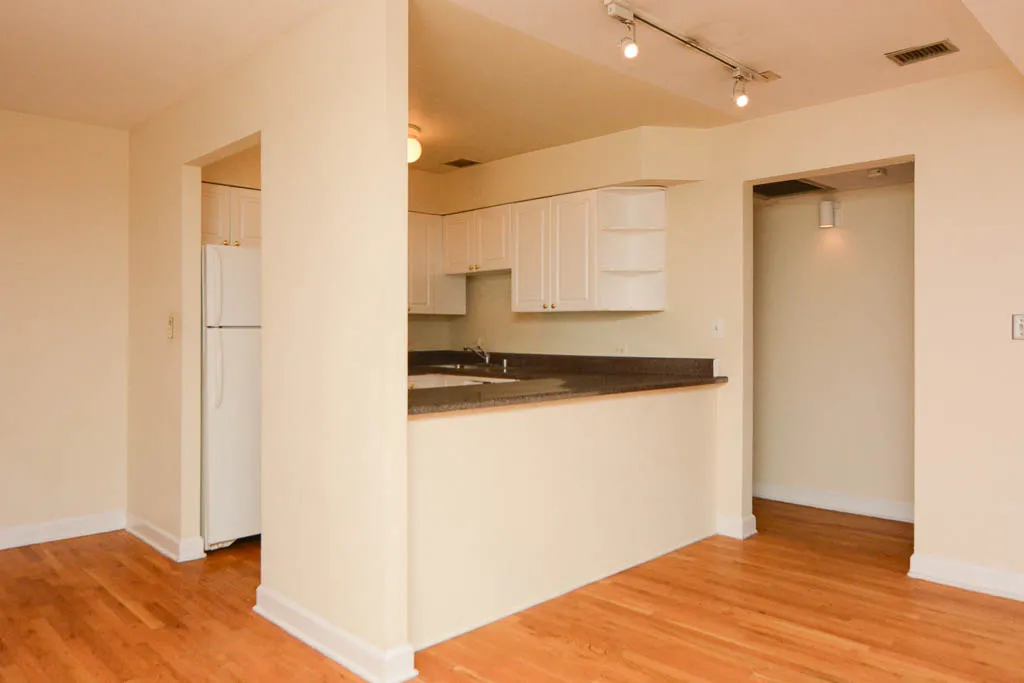 1220 N LA SALLE ST 60610-1220 N LaSalle-Chicago-IL