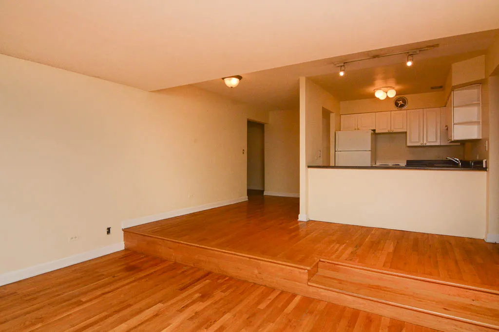 1220 N LA SALLE ST 60610-1220 N LaSalle-Chicago-IL